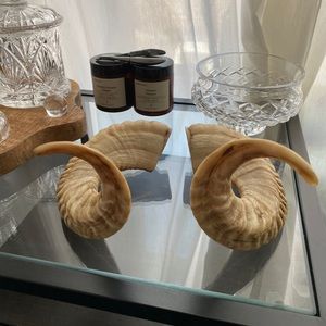 Real Goat horns (decorative)